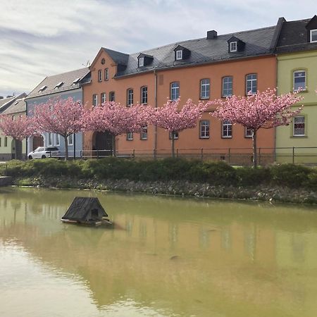 Pension Und Ferienwohnung Am Teich Schleiz Esterno foto
