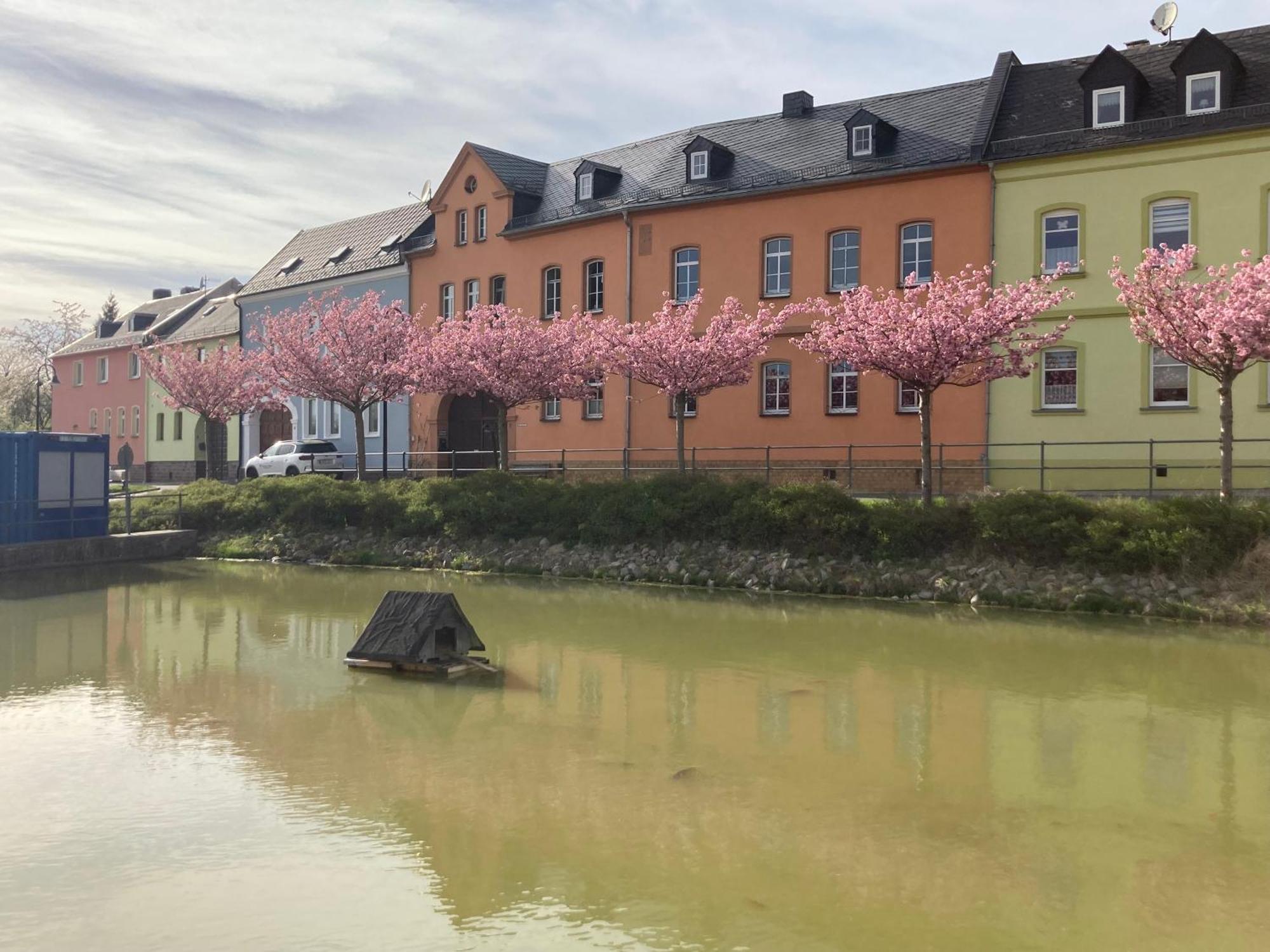 Pension Und Ferienwohnung Am Teich Schleiz Esterno foto